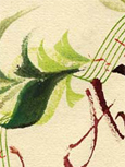 testbild