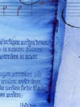 testbild