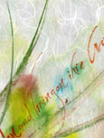 testbild
