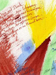 testbild