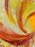 testbild