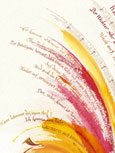 testbild