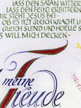 testbild